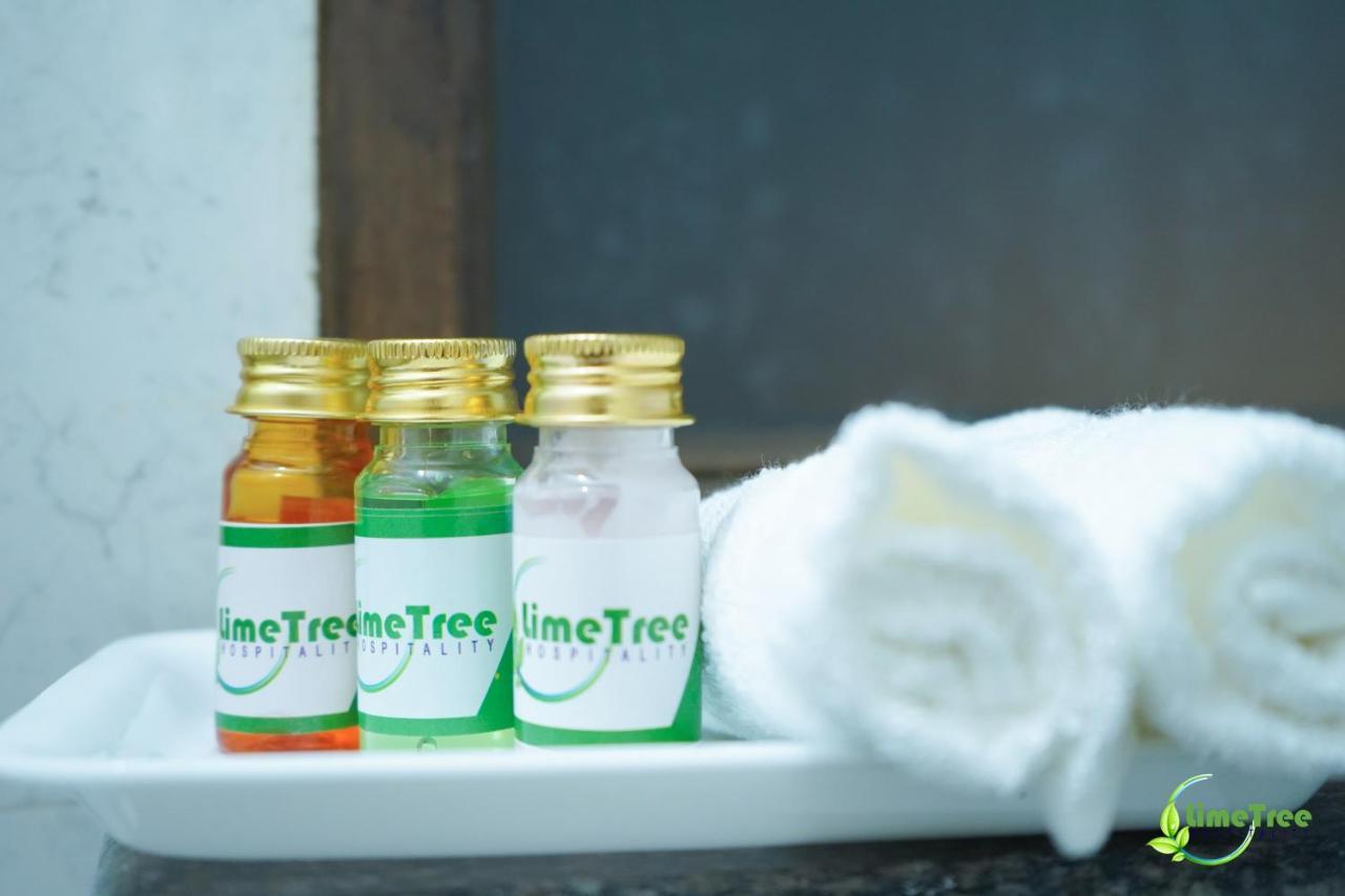 Lime Tree Hotel Near 32Nd Avenue Sector 29 Gurgaon Luaran gambar